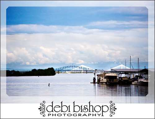 Cable Bridge & Blue Bridge from Bateman Island